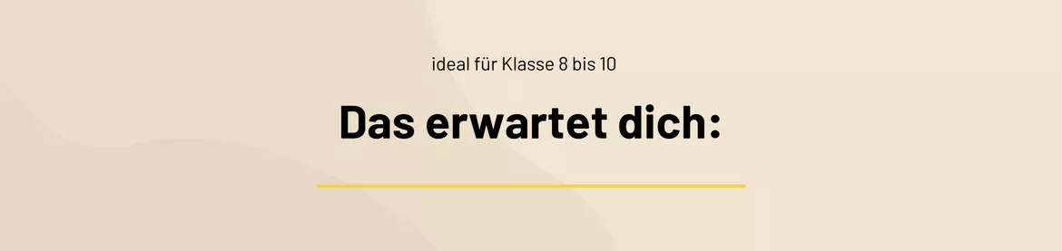 Bild in der Beschreibung des Unterrichtsmaterials Reported Speech | Sparpaket | Merkfächer und Arbeitsblätter von ms.doubtfire #2