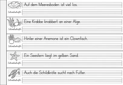 Bild in der Beschreibung des Unterrichtsmaterials Schreibschrift (VA) üben & trainieren mit Knickblättern - inklusive Blankovorlage - Vereinfachte Ausgangsschrift von Odd Bird & Company #2