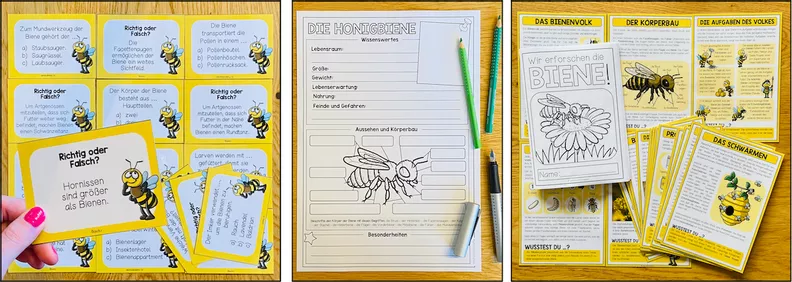 Bild in der Beschreibung des Unterrichtsmaterials DIE BIENE - Materialpaket von Unterrichtmitspass #5