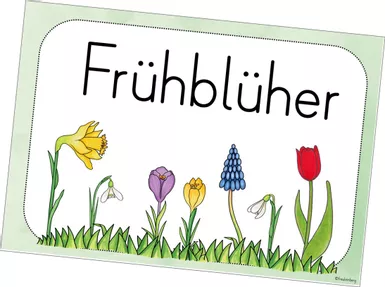 Bild in der Beschreibung des Unterrichtsmaterials Themenplakat Frühblüher von FreuleinBerg #1