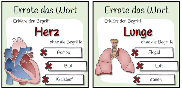 Bild in der Beschreibung des Unterrichtsmaterials Organe des Menschen - Errate das Wort-Spiel von Dr.Teach #1
