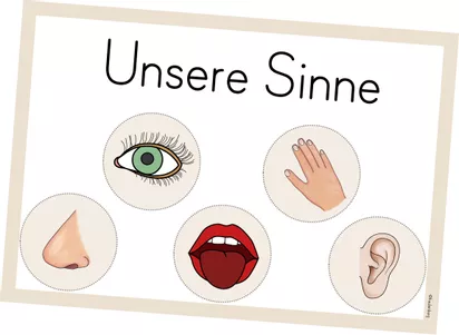 Bild in der Beschreibung des Unterrichtsmaterials Themenplakat - Unsere Sinne von FreuleinBerg #1