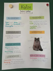 Bild in der Beschreibung des Unterrichtsmaterials KEL-Gespräch mit Präsentation – 4. Klasse | Haustier-Thema | Grundschule - Reflexions- & Elternbögen von LoriLei #2