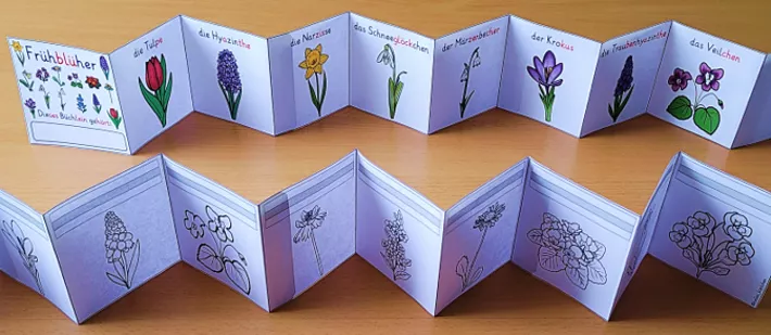 Bild in der Beschreibung des Unterrichtsmaterials Frühblüher Klasse 1-4 LEPORELLO differenziert von Helles Köpfchen #1