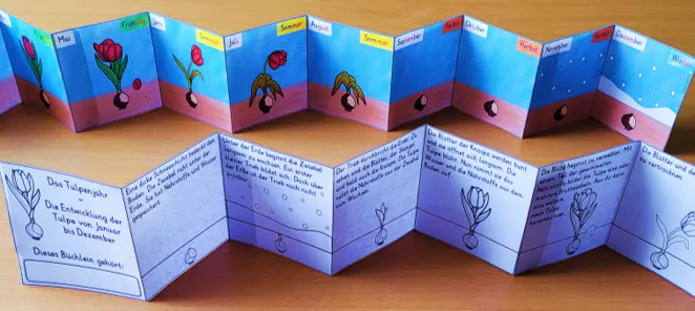 Bild in der Beschreibung des Unterrichtsmaterials Tulpenjahr Klasse 1-4 Grundschule LEPORELLO von Helles Köpfchen #1