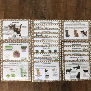 Bild in der Beschreibung des Unterrichtsmaterials PAKET - Lapbook und Karteikarten zur Katze von The Growing Firsties #3