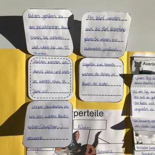 Bild in der Beschreibung des Unterrichtsmaterials PAKET - Lapbook und Karteikarten zur Katze von The Growing Firsties #4