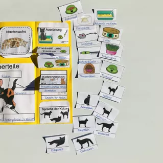 Bild in der Beschreibung des Unterrichtsmaterials PAKET - Lapbook und Karteikarten zur Katze von The Growing Firsties #5