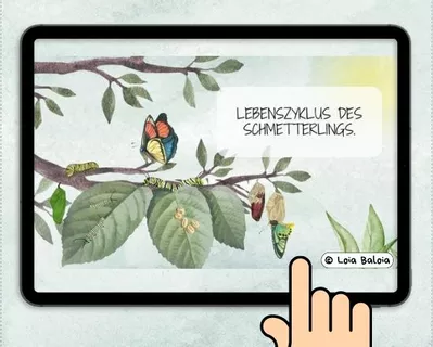 Deckblatt