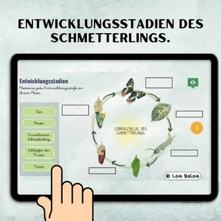 Deckblatt