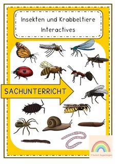 Deckblatt