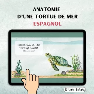Page de couverture