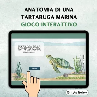 Pagina di copertina