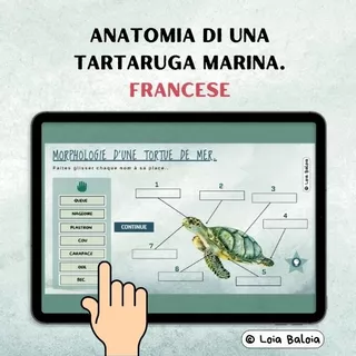 Pagina di copertina