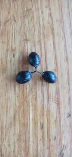 Deckblatt