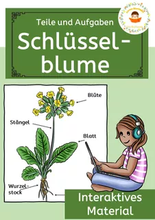 Deckblatt