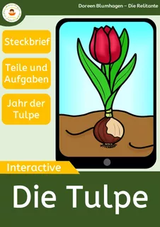 Deckblatt