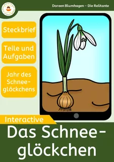 Deckblatt