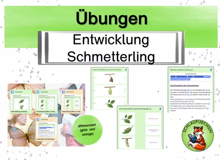 Deckblatt