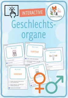 Deckblatt