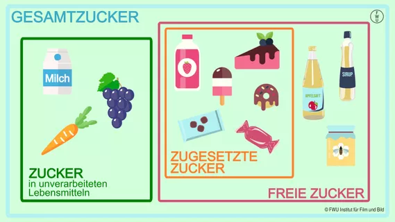Deckblatt