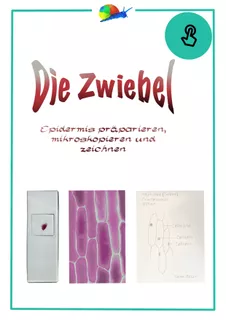 Deckblatt