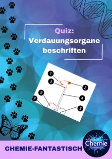 Deckblatt