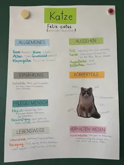 Bild in der Beschreibung des Unterrichtsmaterials Plakatgestaltung – Mein Haustier | Steckbrief & Plakatvorlage von LoriLei #1