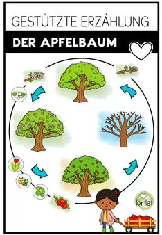 Bild in der Beschreibung des Unterrichtsmaterials Der Apfel - Teile des Apfels - Tafelmaterial (analog und digital) von LoriLei #1