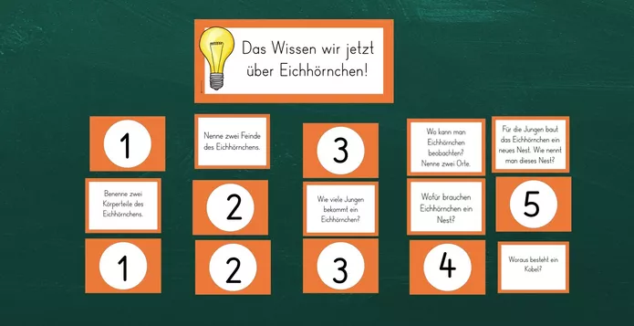 Bild in der Beschreibung des Unterrichtsmaterials Lernzielkontrolle und Quiz zum Eichhörnchen von FreuleinBerg #2