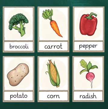 Bild in der Beschreibung des Unterrichtsmaterials Gemüse - Vegetables - Flashcards - Wortkarten (Englisch) von FreuleinBerg #1