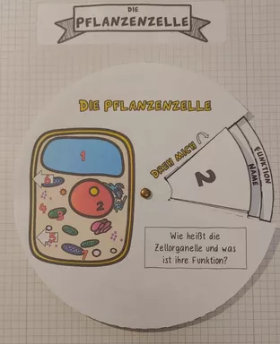 Bild in der Beschreibung des Unterrichtsmaterials interaktives Zellrad: pflanzliche Zelle (dreh- & klappbar) von WissensFunken (Frau S.) #3