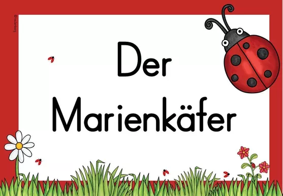 Bild in der Beschreibung des Unterrichtsmaterials Themenplakat - Marienkäfer von FreuleinBerg #1