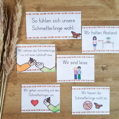 Bild in der Beschreibung des Unterrichtsmaterials Regeln - Schmetterlinge (Verhaltensregeln) von FreuleinBerg #1