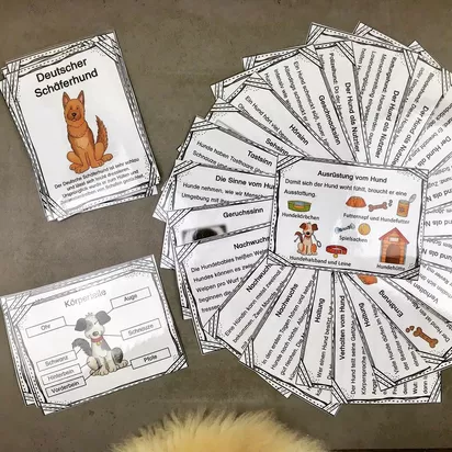 Bild in der Beschreibung des Unterrichtsmaterials Hunde - Wissenskartei von The Growing Firsties #1