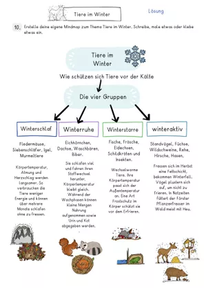 Bild in der Beschreibung des Unterrichtsmaterials Sachtext Tiere im Winter, Wald, Lesen, Lesekompetenz, Klasse, 4, 5, 6. von LernTagebuch #2