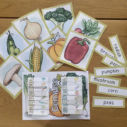 Bild in der Beschreibung des Unterrichtsmaterials Flashcards und Vokabel-Klapper Vegetables von Froilein Kunterbunt #1