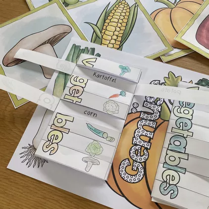 Bild in der Beschreibung des Unterrichtsmaterials Flashcards und Vokabel-Klapper Vegetables von Froilein Kunterbunt #2