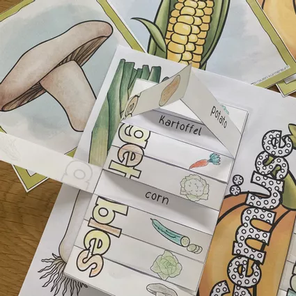 Bild in der Beschreibung des Unterrichtsmaterials Flashcards und Vokabel-Klapper Vegetables von Froilein Kunterbunt #3