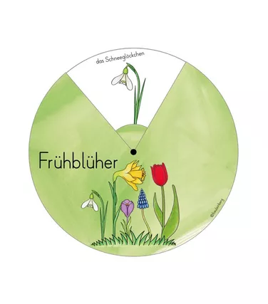 Bild in der Beschreibung des Unterrichtsmaterials Drehscheibe Frühblüher (Tulpe, Osterglocke, Krokus, ...) von FreuleinBerg #1