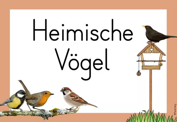 Bild in der Beschreibung des Unterrichtsmaterials Themenplakat Vögel (im Winter) von FreuleinBerg #2