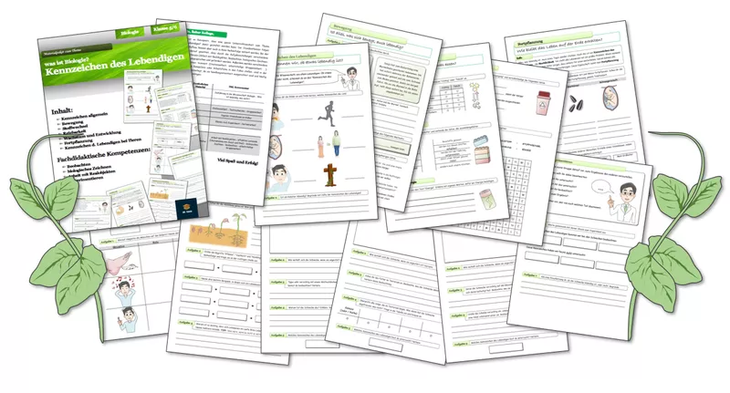 Bild in der Beschreibung des Unterrichtsmaterials Kennzeichen des Lebendigen von Dr.Teach #1