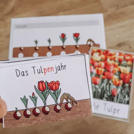 Bild in der Beschreibung des Unterrichtsmaterials Leporello - Tulpenjahr von FreuleinBerg #1