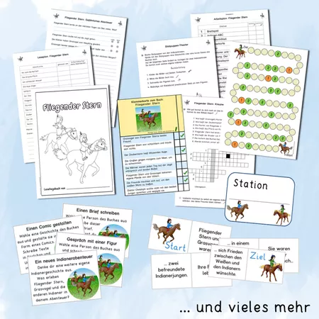 Bild in der Beschreibung des Unterrichtsmaterials Lernmaterial zu "Fliegender Stern" (Lesetagebuch) von Grundschulatelier #1