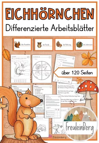 Bild in der Beschreibung des Unterrichtsmaterials Wissenskartei - Eichhörnchen (2-fach differenziert) von FreuleinBerg #2