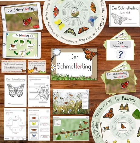 Bild in der Beschreibung des Unterrichtsmaterials Schmetterling - GESAMTPAKET - Klasse 1/2 - differenziert (analog & digital) von FreuleinBerg #4