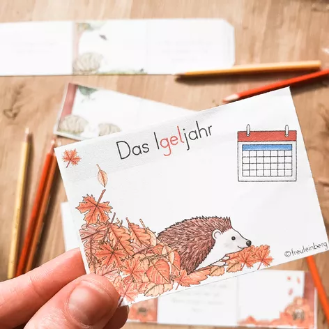 Bild in der Beschreibung des Unterrichtsmaterials Leporello - Der Igel - Igeljahr von FreuleinBerg #1
