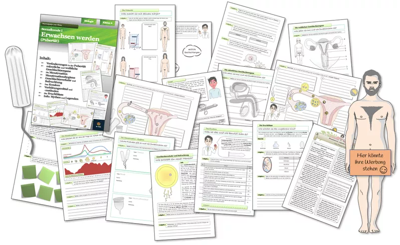 Bild in der Beschreibung des Unterrichtsmaterials Biologie - ganze Einheiten für die Jahrgänge 5 und 6 von Dr.Teach #5