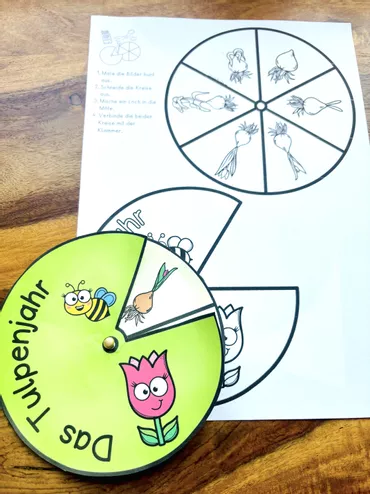 Bild in der Beschreibung des Unterrichtsmaterials Bastelvorlage Tulpenjahr, Frühblüher Drehscheibe Klasse 1, 2, 3 von LernTagebuch #1