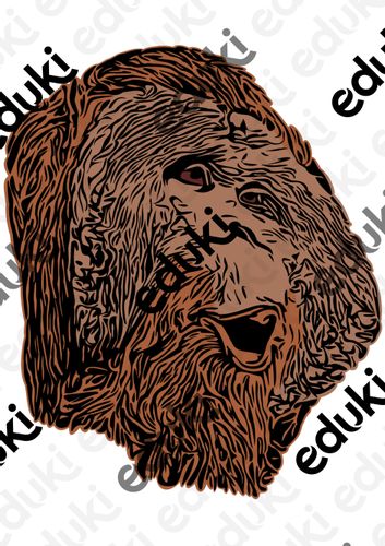 Orang-Utan Affen Tiermotiv (Bildkarte, Poster Malen & Zeichnen